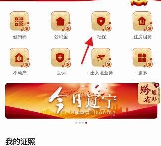 辽宁省机关养老社会保险参保缴费证明怎样查询