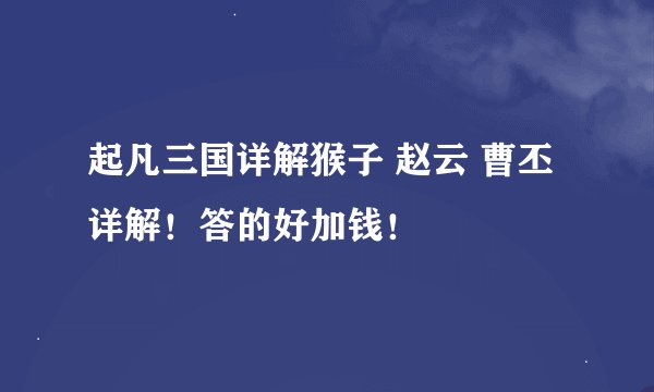 起凡三国详解猴子 赵云 曹丕 详解！答的好加钱！