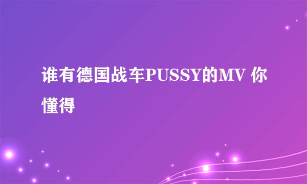 谁有德国战车PUSSY的MV 你懂得