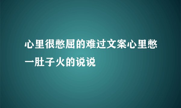心里很憋屈的难过文案心里憋一肚子火的说说