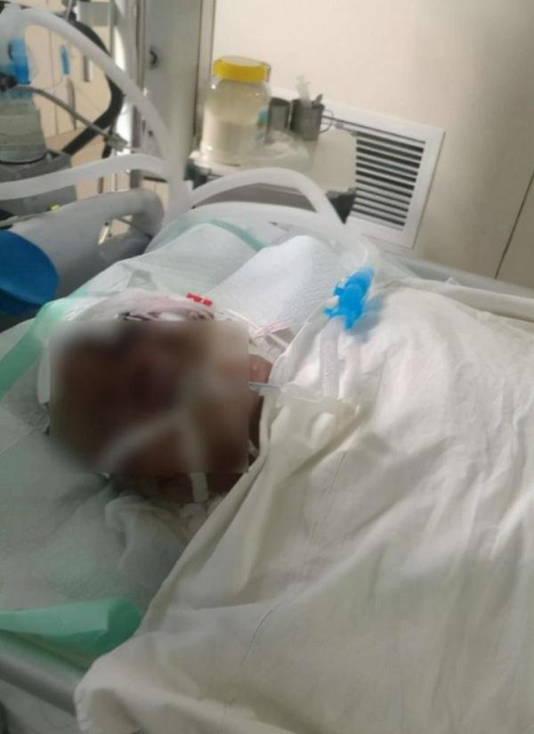 男子当街打死70岁越战老兵,法院判了