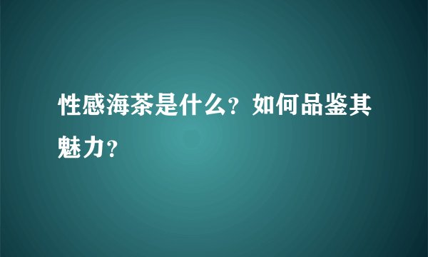性感海茶是什么？如何品鉴其魅力？