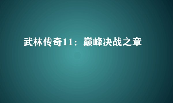 武林传奇11：巅峰决战之章