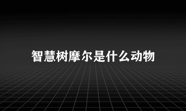 智慧树摩尔是什么动物