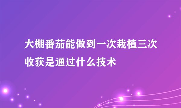 大棚番茄能做到一次栽植三次收获是通过什么技术