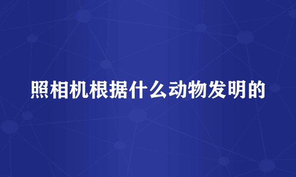 照相机根据什么动物发明的