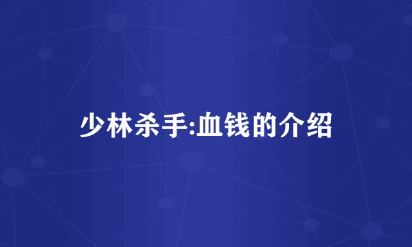 少林杀手:血钱的介绍