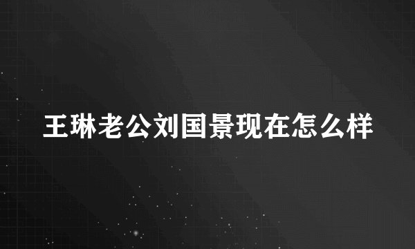 王琳老公刘国景现在怎么样
