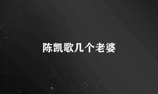 陈凯歌几个老婆