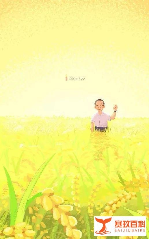 袁爷爷走了，他的猫袁花花还没长大！