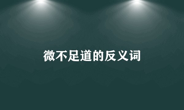 微不足道的反义词