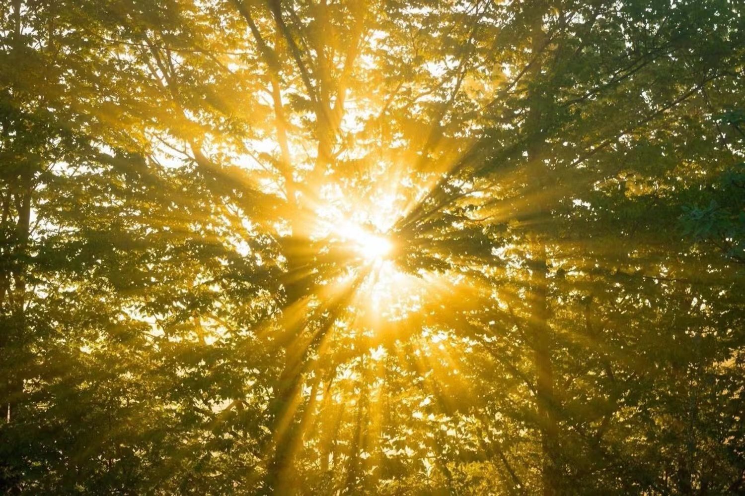 露着造句子二年级简单的造句
