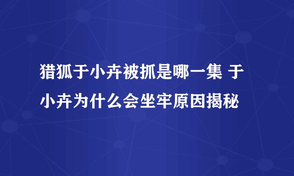 猎狐于小卉被抓是哪一集 于小卉为什么会坐牢原因揭秘