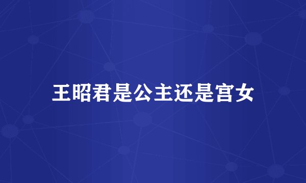 王昭君是公主还是宫女