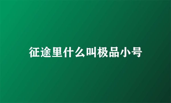征途里什么叫极品小号