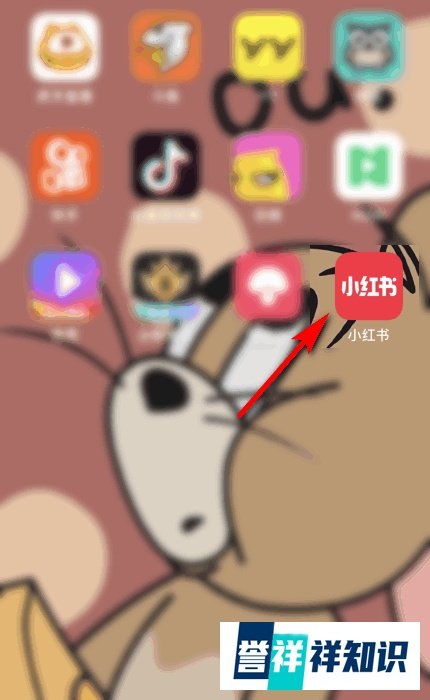 小红书如何打赏主播？