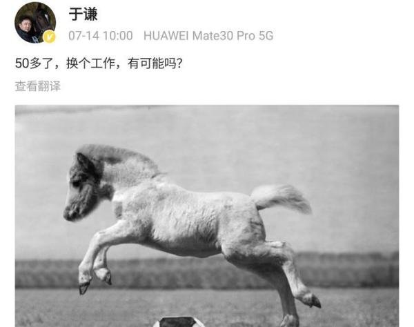 于谦疑要退出德云社，发文称想换个工作，网友恳请郭德纲出来挽留