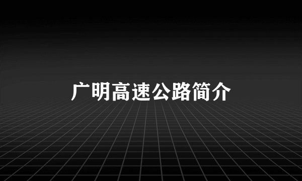 广明高速公路简介