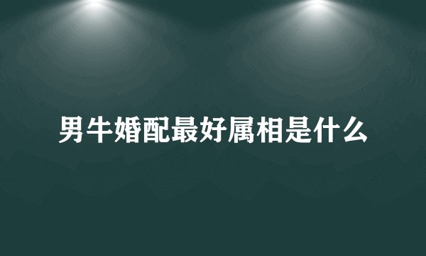 男牛婚配最好属相是什么
