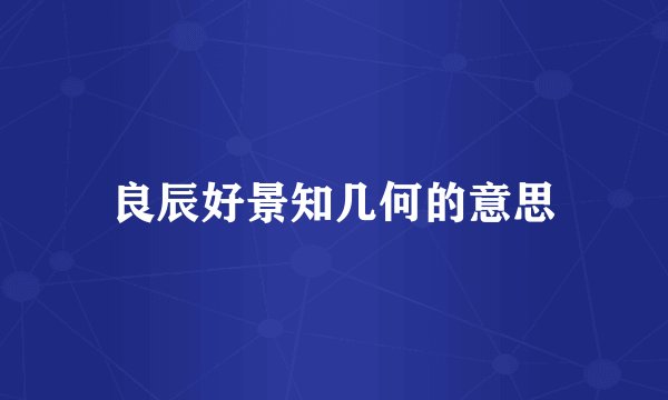 良辰好景知几何的意思