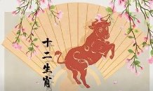 夜夜无眠指一生肖