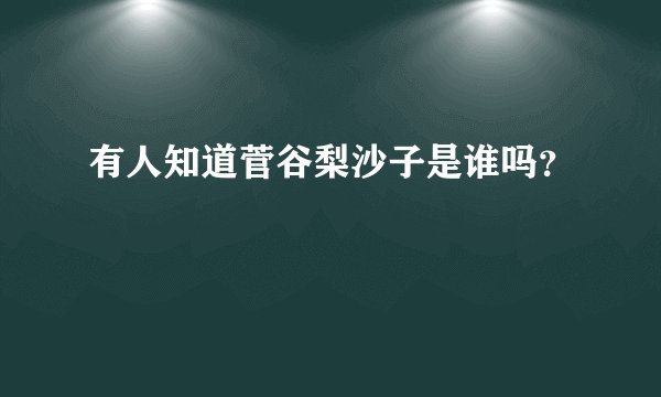 有人知道菅谷梨沙子是谁吗？