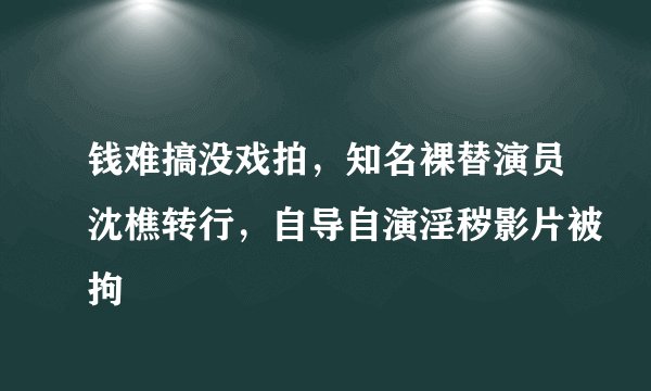 钱难搞没戏拍，知名裸替演员沈樵转行，自导自演淫秽影片被拘