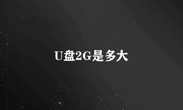 U盘2G是多大