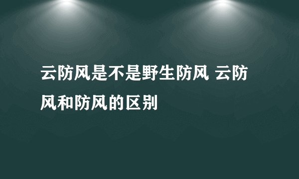 云防风是不是野生防风 云防风和防风的区别