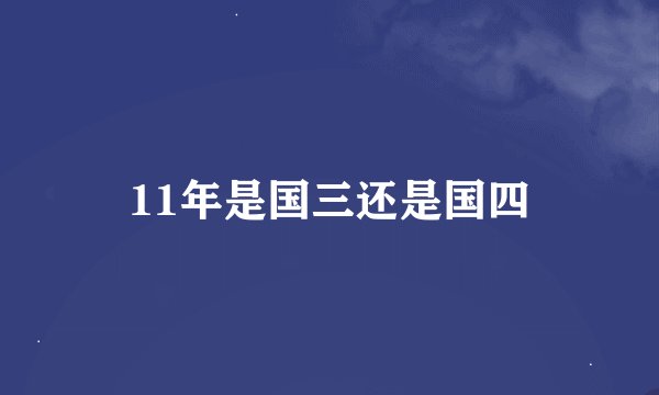 11年是国三还是国四