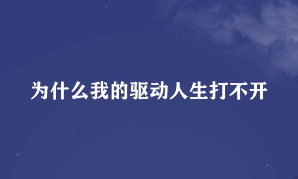 为什么我的驱动人生打不开
