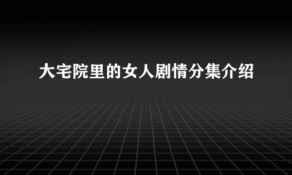 大宅院里的女人剧情分集介绍