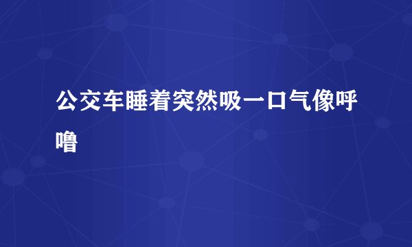 公交车睡着突然吸一口气像呼噜