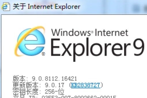 IE是什么意思?