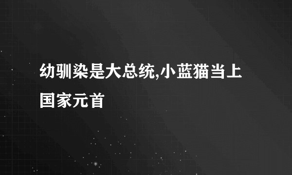 幼驯染是大总统,小蓝猫当上国家元首