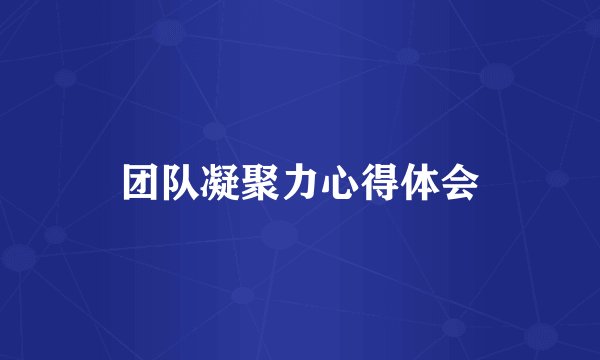 团队凝聚力心得体会
