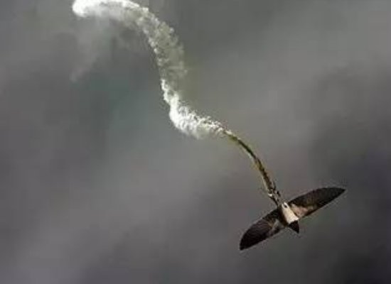宇宙中十大恐怖生物都有哪些?
