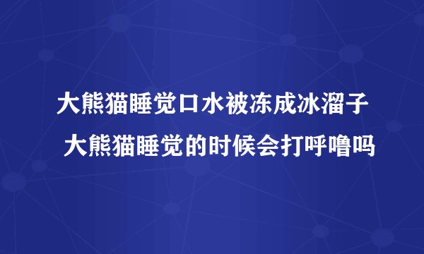 大熊猫睡觉口水被冻成冰溜子 大熊猫睡觉的时候会打呼噜吗