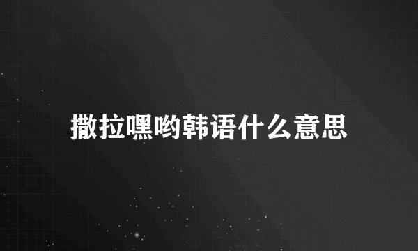 撒拉嘿哟韩语什么意思