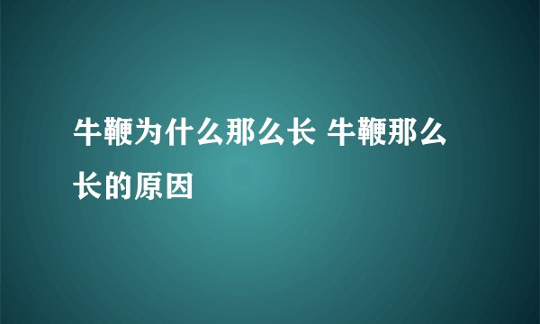 牛鞭为什么那么长 牛鞭那么长的原因