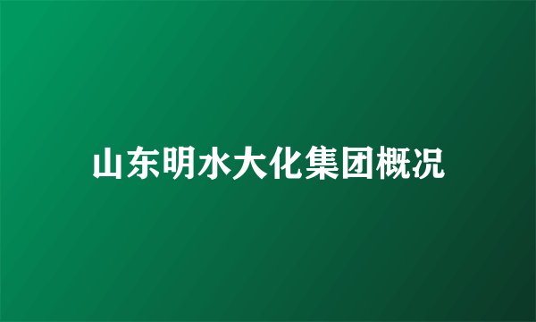 山东明水大化集团概况