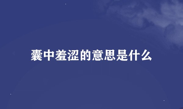 囊中羞涩的意思是什么