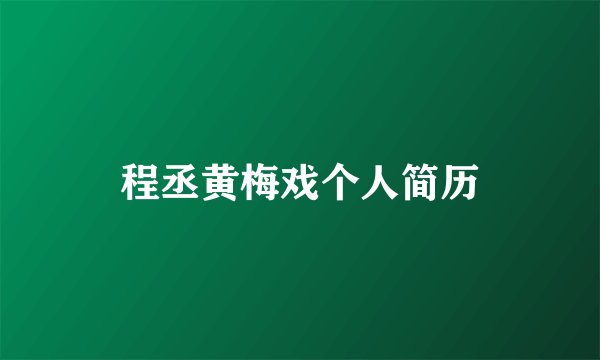 程丞黄梅戏个人简历