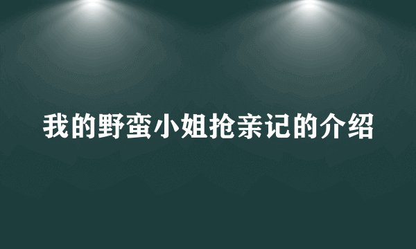 我的野蛮小姐抢亲记的介绍