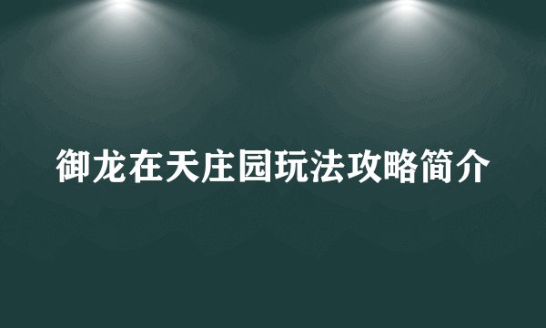 御龙在天庄园玩法攻略简介