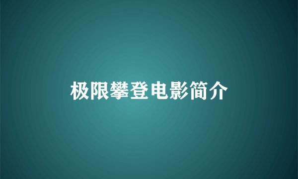 极限攀登电影简介