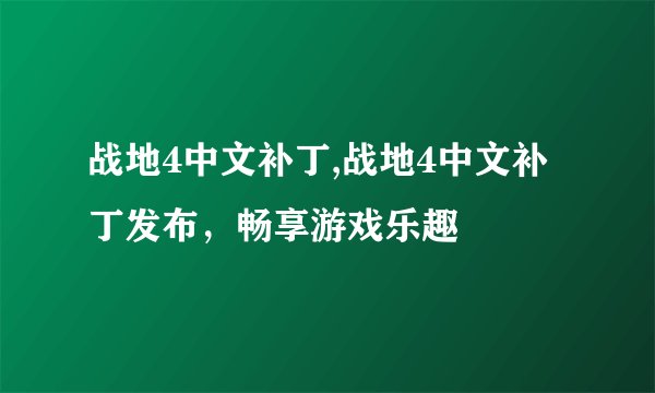 战地4中文补丁,战地4中文补丁发布，畅享游戏乐趣
