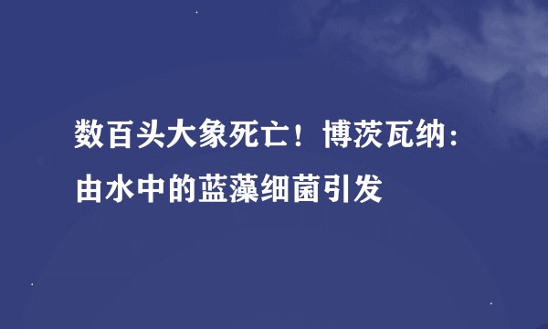 数百头大象死亡！博茨瓦纳：由水中的蓝藻细菌引发
