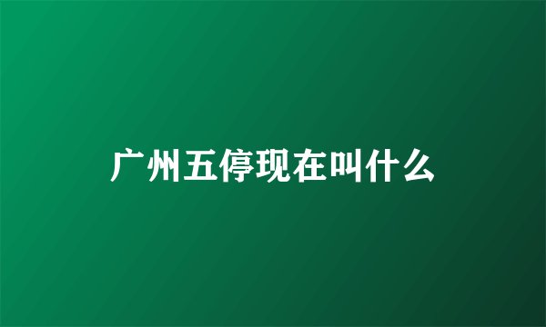 广州五停现在叫什么