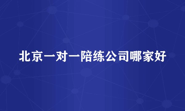 北京一对一陪练公司哪家好